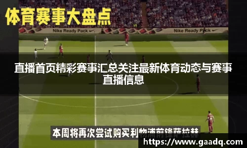 mk体育官网